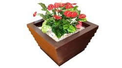 花箱-JZ-H5
